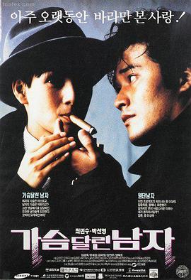日韩一区二区视频在线观看新片